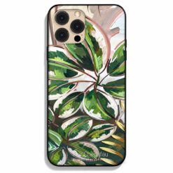Calathea