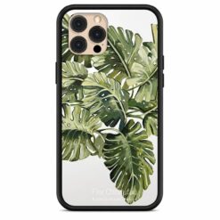 Monstera